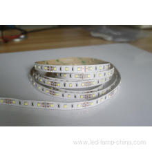 Warm White Flexible SMD2835 Led Strip Lighting